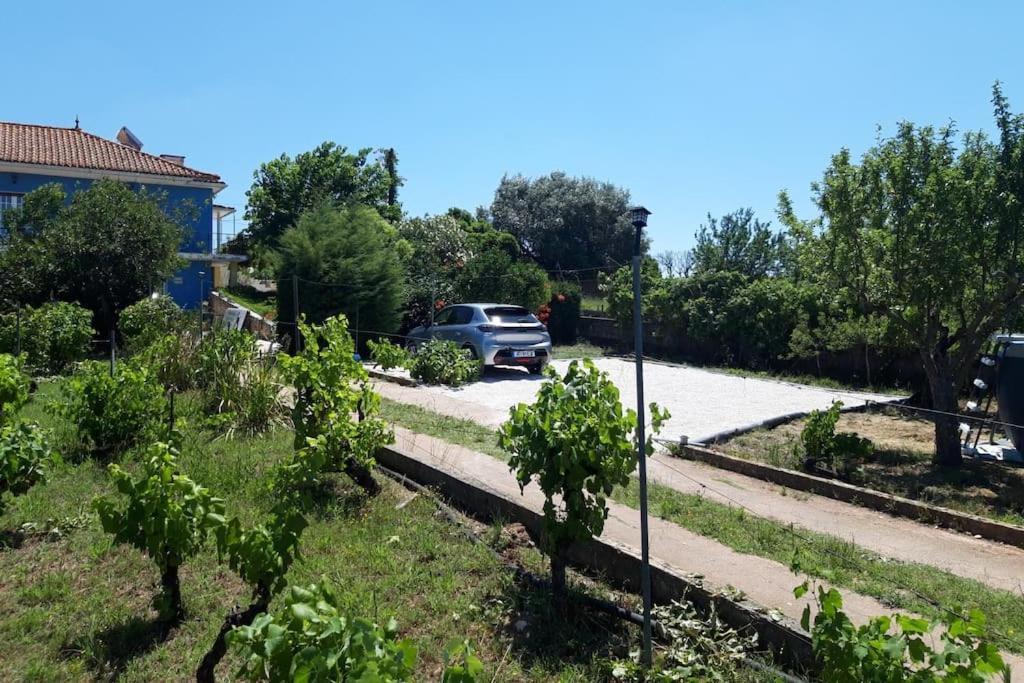 Casa Azul Tomar Prive Vakantiehuis Exteriör bild