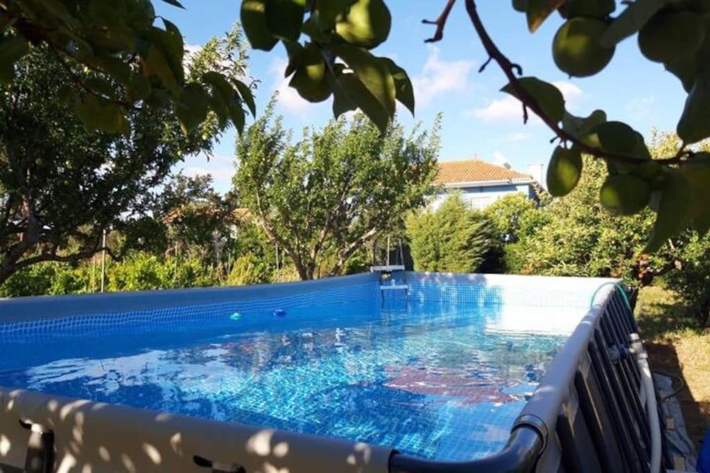 Casa Azul Tomar Prive Vakantiehuis Exteriör bild
