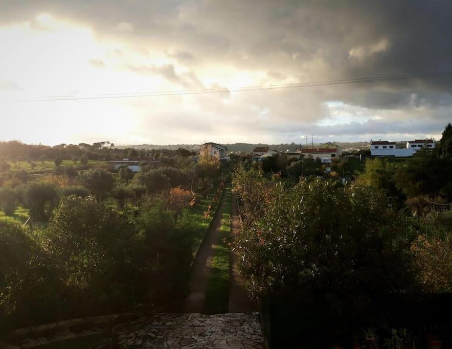 Casa Azul Tomar Prive Vakantiehuis Exteriör bild